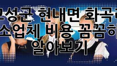 고성군 현내면 화곡리 청소업체 비용, 꼼꼼하게 알아보기! ✨